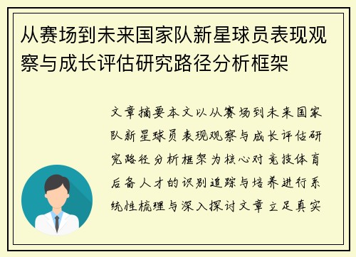 从赛场到未来国家队新星球员表现观察与成长评估研究路径分析框架